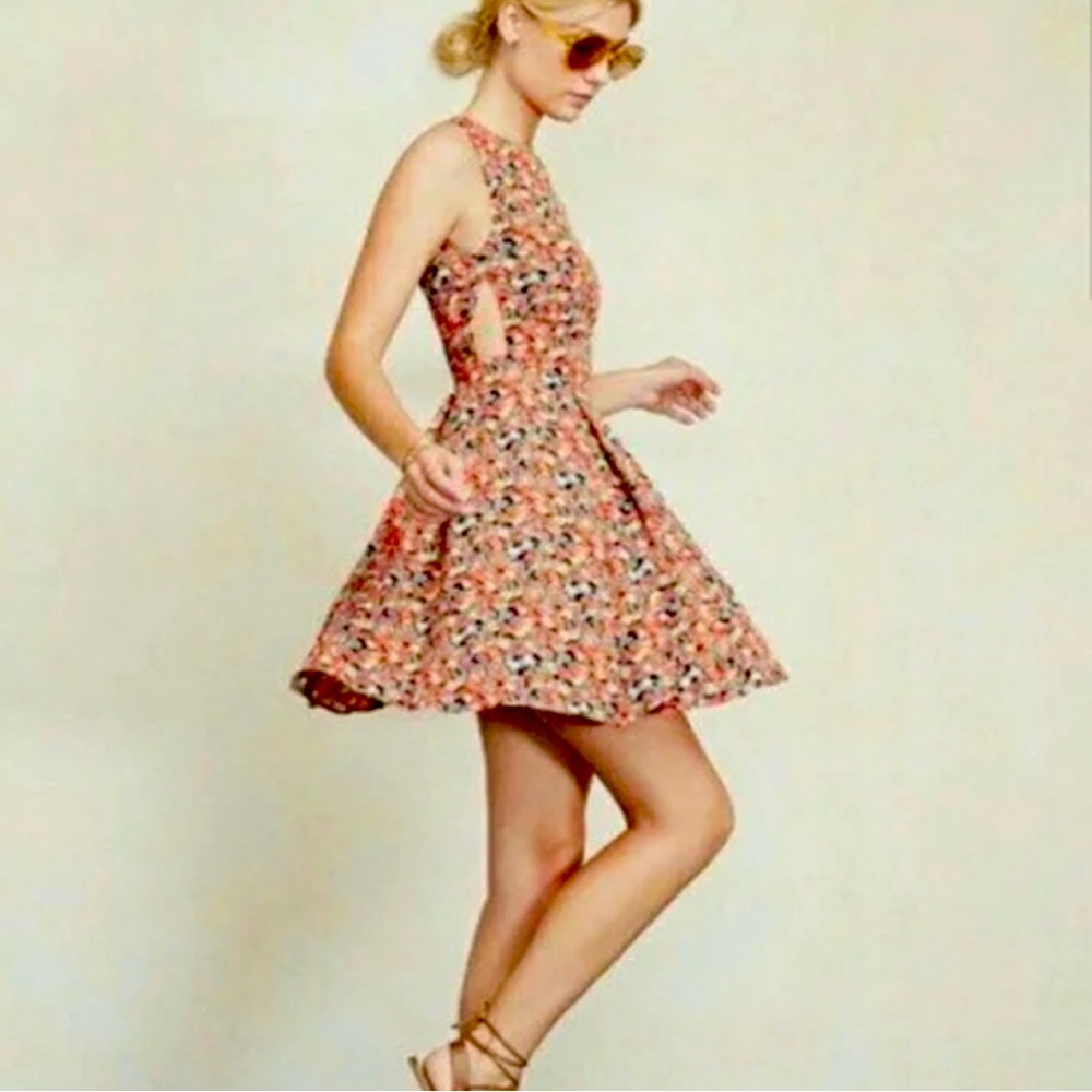 Reformation Quinoa Dress